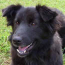 Vanessa was adopted in December, 2005